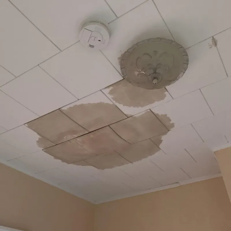 Ceiling Water Damage Repair in Ash Flat, AR